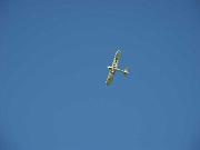 Bad Woerishofen Semiscaletreffen 2006